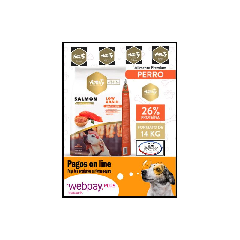 AMITY SALMON PERRO ADULT 14 KG