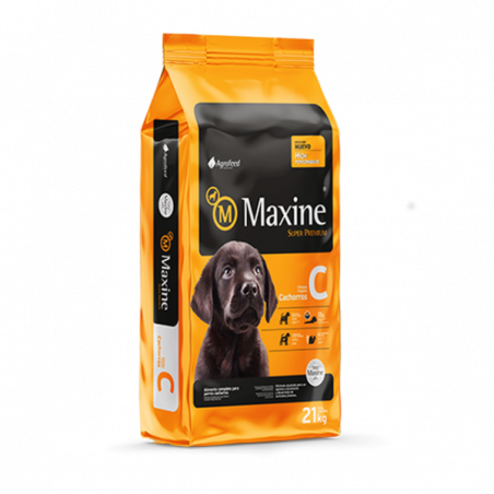 MAXINE CACHORRO 21 KG
